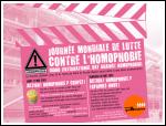 The International Day Against Homophobia