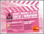 The International Day Against Homophobia