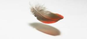 Less Gravity in Canada?