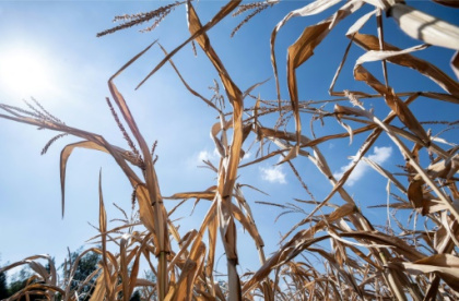 UN report confronts nations with tough choices on climate.jpg