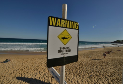 Nudist beach surfer punches shark to escape attack.jpg