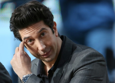 The one where David Schwimmer had a solid alibi.jpg