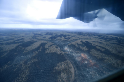 High alert for new Australia bushfires as heat and winds pick up.jpg
