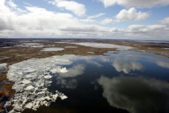 Tie for warmest June globally, Siberia sizzles.jpg