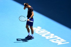 Djokovic admits 'errors' in urgent fight to avoid deportation