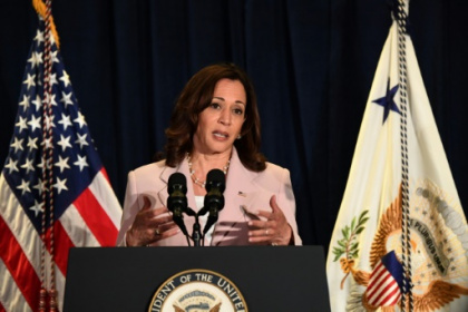 US VP Harris announces migration funds as Mexico snubs Americas summit.jpg