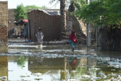 Huge relief operation under way as Pakistan flood death toll rises.jpg