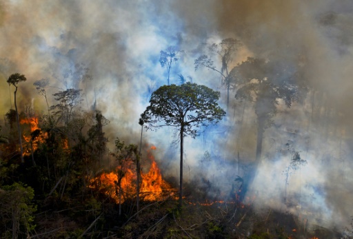 Brazil's Lula, world leaders bolster UN climate talks
