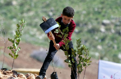 Land-based climate plans 'unrealistic'.jpg