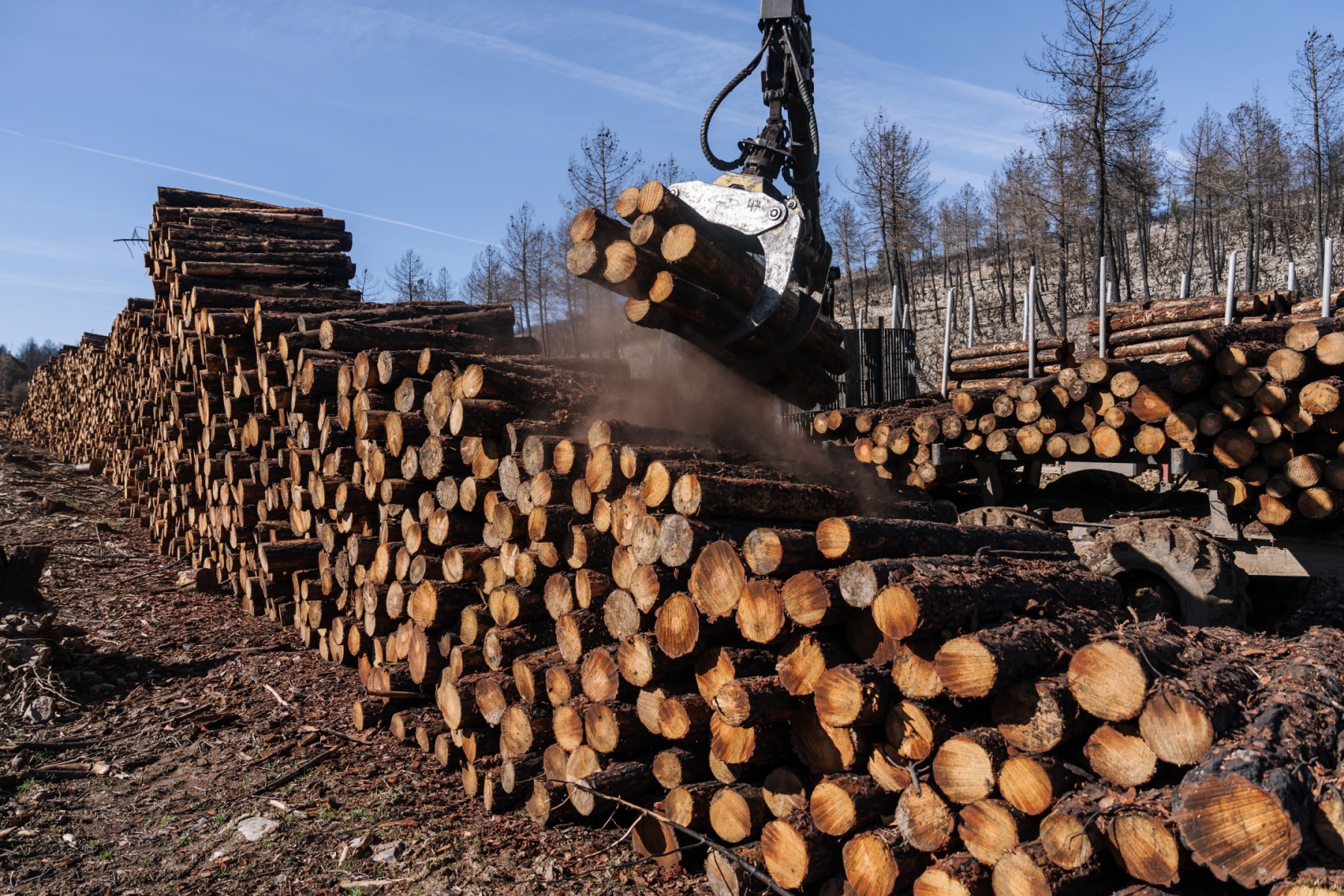 Spain mulls options as wildfires gain in size, intensity