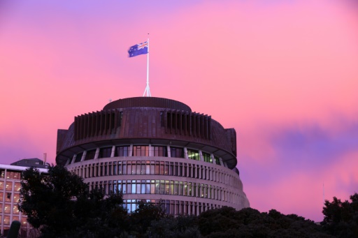 New Zealand MP resigns over shoplifting allegations