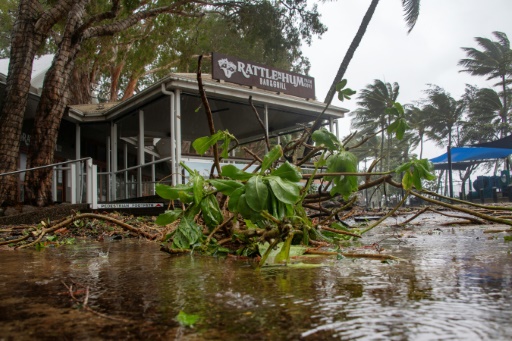 Crocs, cyclones and 'magnificent melaleucas': Aussie beach named world's best