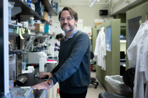 How genetic therapies transformed the lives of sickle cell patients