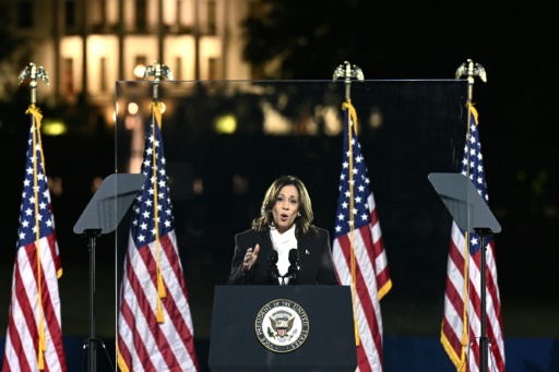 Harris urges US to turn page on Trump 'chaos' in mass White House rally