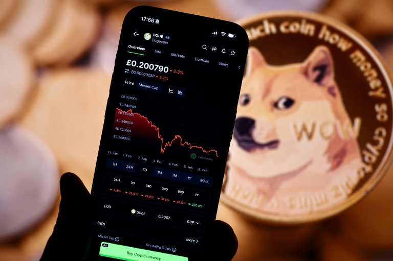 'Lottery ticket': Crypto investors brace for bumpy ride under Trump