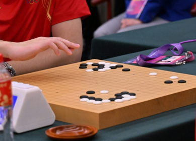 Go is a strategy game considered to be even more complex than chess - ADEK BERRY (AFP)