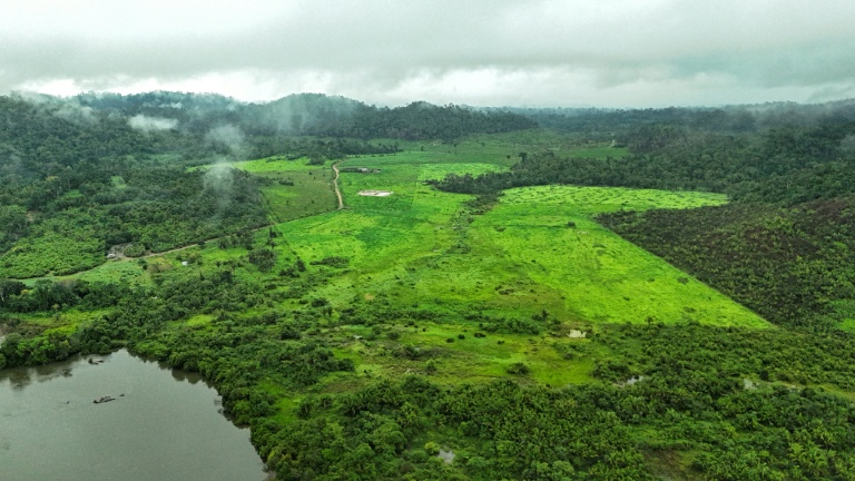 Brazil's Amazon lost area the size of Spain in 40 years: study
