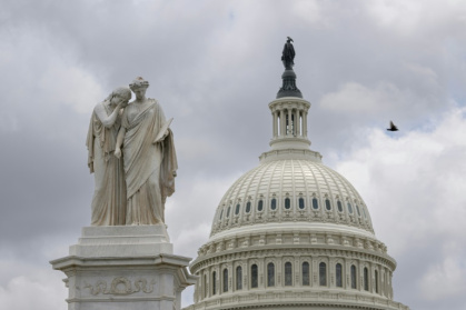 In a hyperpolarized climate, some US researchers are abandoning the label "disinformation" - Mandel NGAN (AFP)