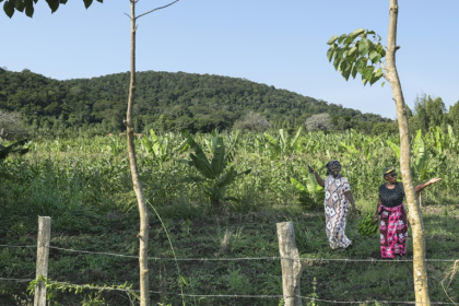 Locals are divided on how to benefit from interest in Mrima Hill's minerals - Tony KARUMBA (AFP)