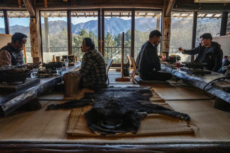 From predator to plate: Japan bear crisis sparks culinary craze