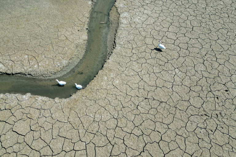 2025 on track to tie second hottest year on record: EU monitor