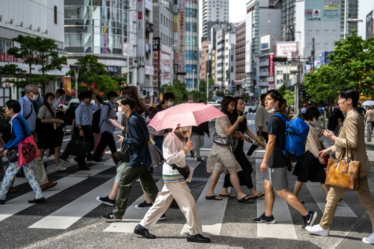 Vietnamese caught in Japan's illegal worker crackdown