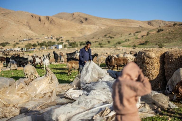 West Bank Bedouin community driven out by Israeli settler violence