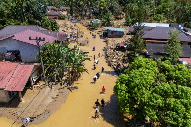 Indonesia floods were 'extinction level' for rare orangutans