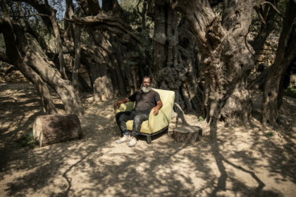 Italian and Japanese experts estimate the tree to be 3,000 to 5,500 years old - John Wessels (AFP)