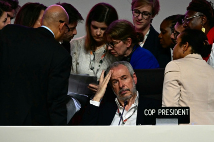 Andre Correa do Lago suspended the talks to consider Colombia's procedural objection - Pablo PORCIUNCULA (AFP)