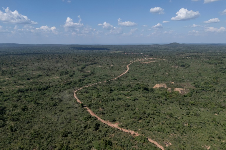 Protected forests under threat in DRC's lucrative mining belt