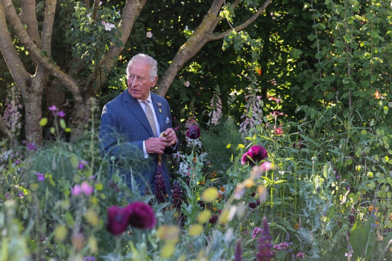 King Charles III warns world 'going backwards' in climate fight