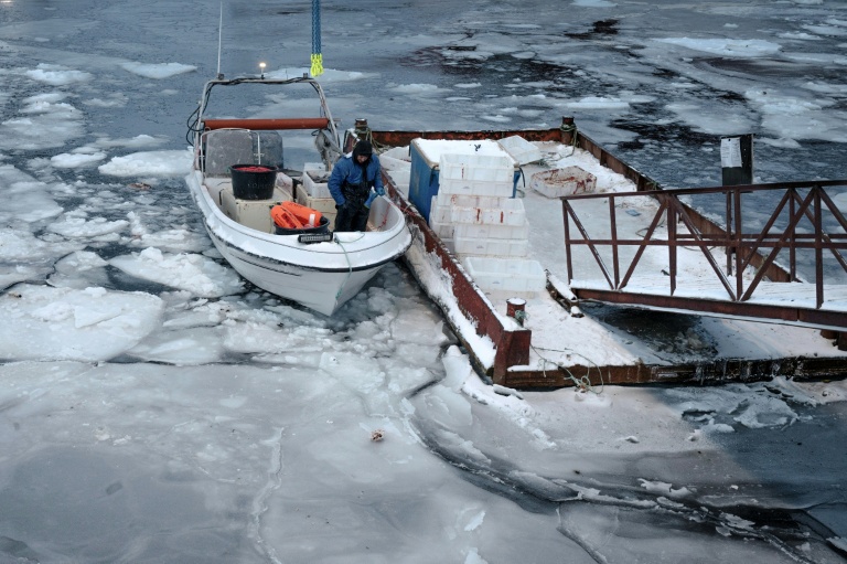 Greenland is 'open for business' -- kind of, says business leader