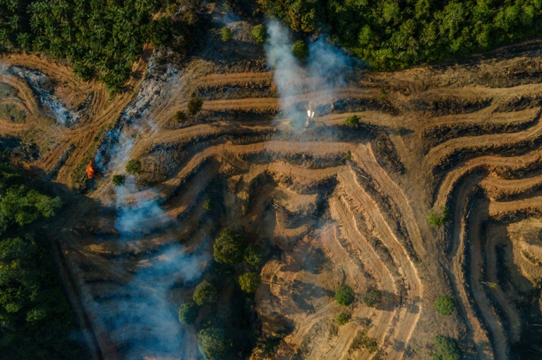 Indonesia firms in palm oil fraud probe supplied fuel majors