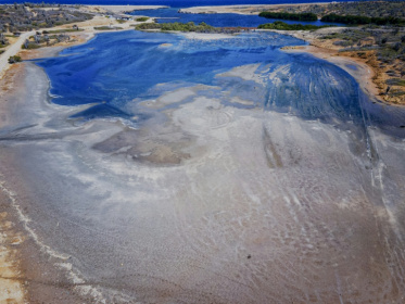 The effects of climate change have made life on Bonaire 'unbearable', according to some of the island's 27,000 residents - Stephan Kogelman (AFP)
