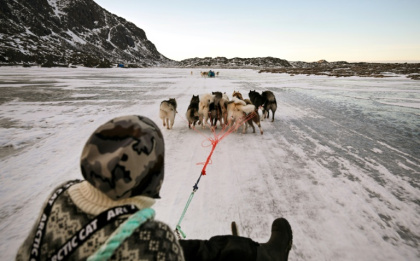 Musher Nukaaraq Lennert Olsen rides with his sled dogs near the 'dog town' of Sisimiut, Greenland - Ina FASSBENDER (AFP)