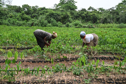 AFP__20260306__99WJ6KE__v1__MidRes__IcoastFarmingAgriculture.jpg